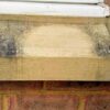 TM Algo Softwash - Patio and Black Spot Cleaner - Image 6